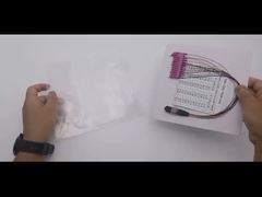 MPO-LC Fiber Optic Pigtail