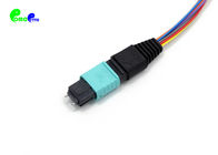 MPO Trunk Cable OM3 12F Fanout 0.9mm MPO Male to LC UPC With Auqe LSZH Fiber Patch Cable Jumper